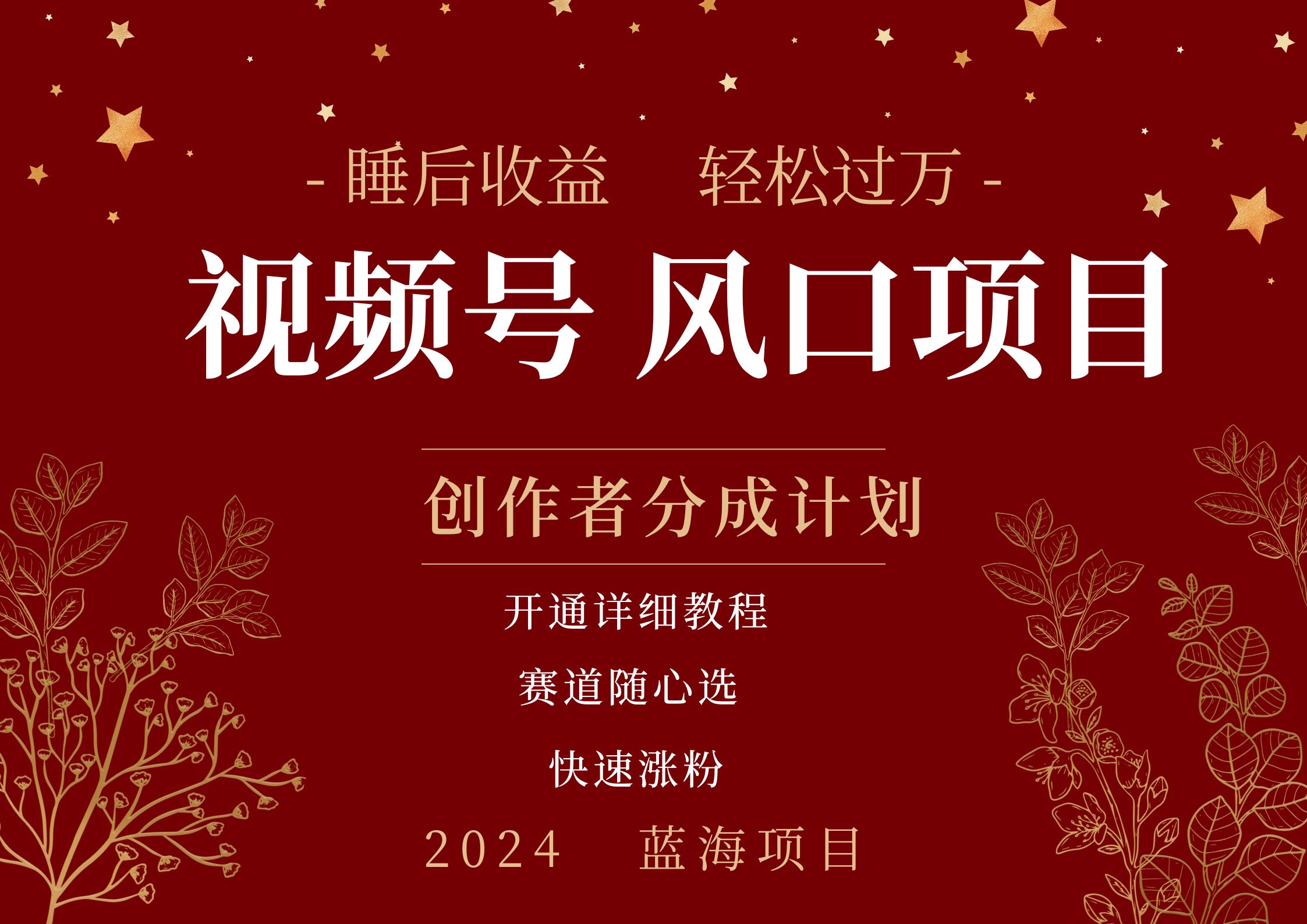 拥有睡眠收益的微信视频号大风口项目，轻松月入过万+，多赛道选择，可矩阵，玩法简单轻松上手-行行副业