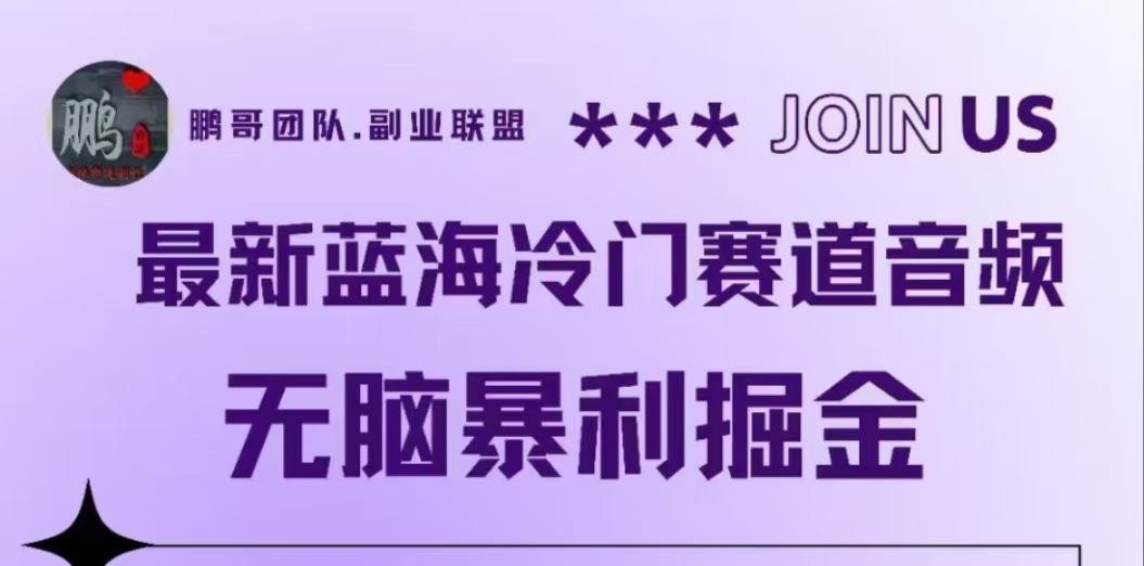 最新蓝海冷门赛道音频，无脑暴利掘金-行行副业