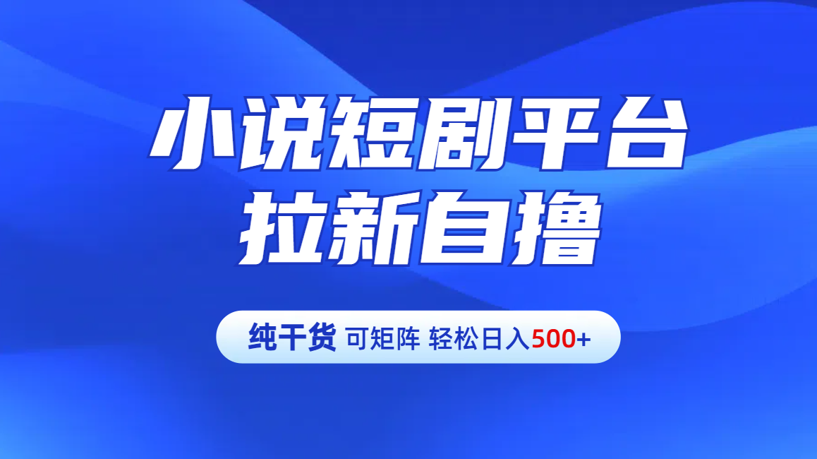 【纯干货】小说短剧平台拉新自撸玩法详解-单人轻松日入500+-行行副业