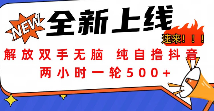 解放双手无脑 纯自撸抖音 两小时一轮500+-行行副业