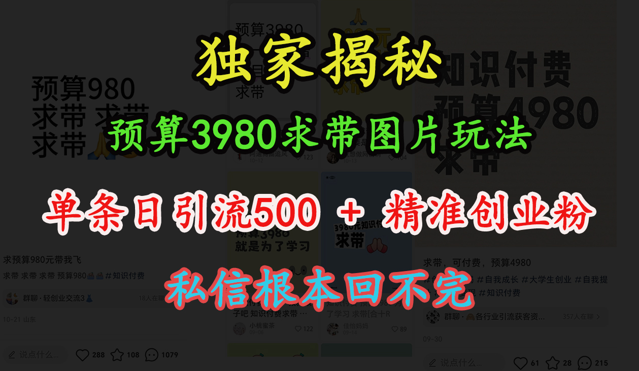 “小红书”预算3980求带 图片玩法，单条日引流500+精准创业粉，私信根本回不完-行行副业