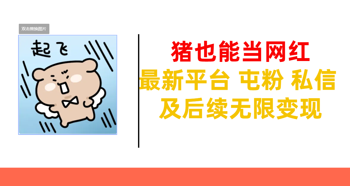 猪也能当网红-最新平台 屯粉 交流 私信 及后续无限变现-行行副业