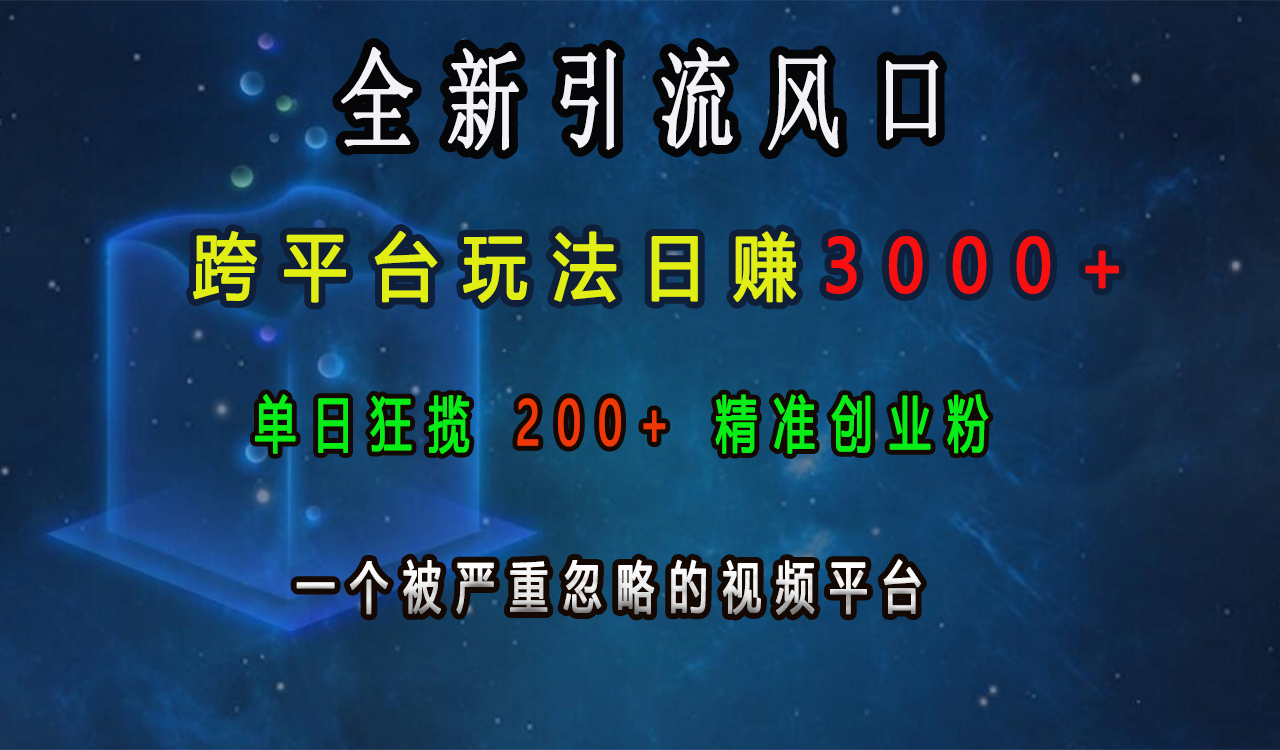全新引流风口，跨平台玩法日赚3000+，单日狂揽200+精准创业粉，一个被严重忽略的视频平台-行行副业