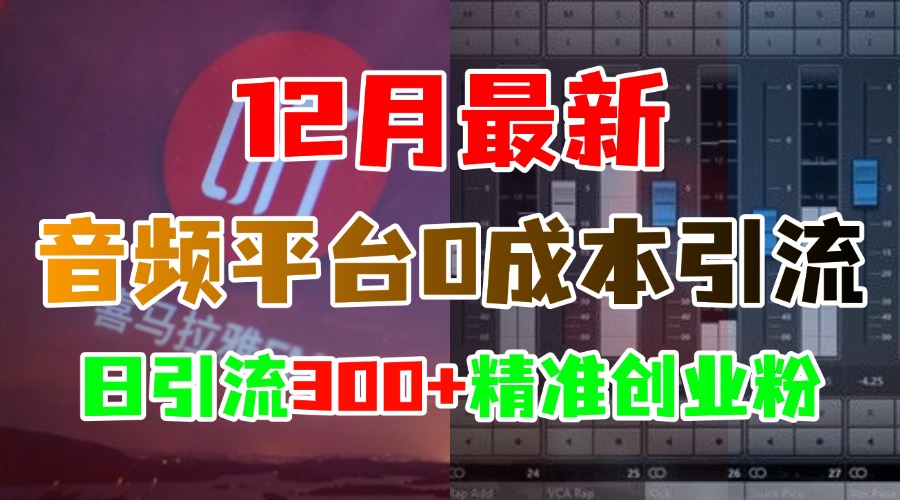 12月最新：音频平台0成本引流，日引300+精准创业粉-行行副业