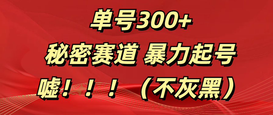 单号300+  秘密赛道 暴力起号  （不灰黑）-行行副业