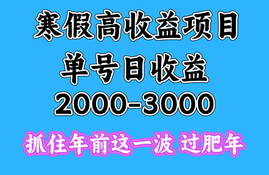 寒假期间一天收益2000-3000+，抓住年前这一波-行行副业