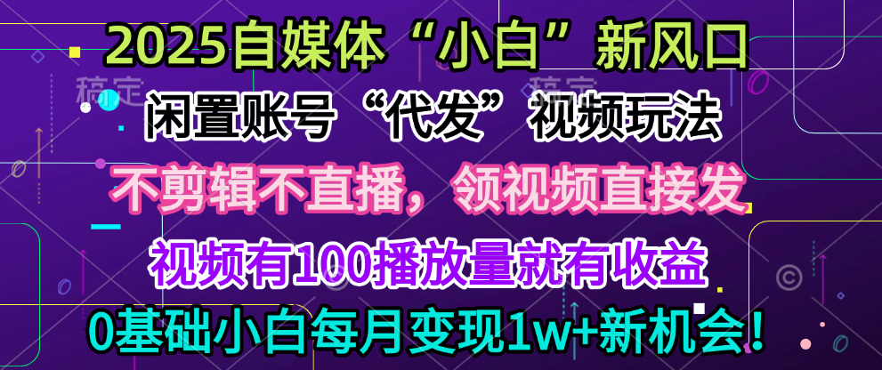 2025每月躺赚5w+新机会，闲置视频账号一键代发玩法，0粉不实名不剪辑，领了视频直接发，0基础小白也能日入300+-行行副业