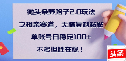 全网首发微头条野路子2.0玩法之相亲赛道，无脑搬砖复制粘贴，单账号日稳定300+保姆级教程-行行副业