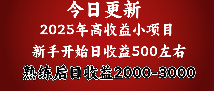 好项目一眼就能看出来，日收益1000，长久可做，2025拼的就是我比你勤奋-行行副业