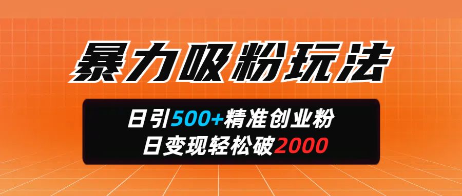 暴力吸粉玩法，日引500+精准创业粉，日变现轻松破2000-行行副业