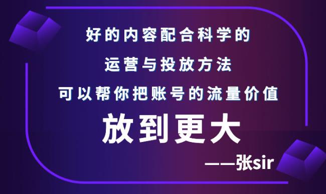 【副业项目3305期】（怎么投dou+快速涨粉）张sir账号流量增长课，让你的流量更精准-行行副业
