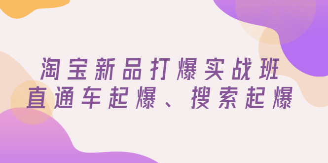 【副业项目3372期】淘宝新品打爆实战班（淘宝店铺如何增加流量和访客）-行行副业