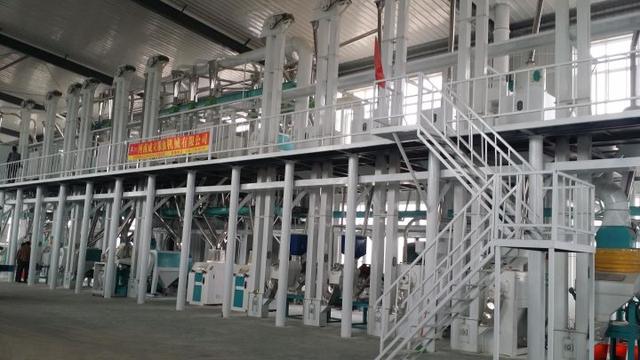 五十吨玉米深加工项目赚钱吗？小型玉米深加工项目有哪些？-行行副业
