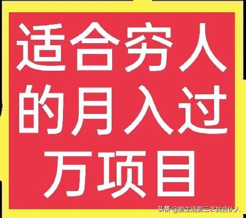 适合农村人做的赚钱项目（在农村做什么项目好）-行行副业