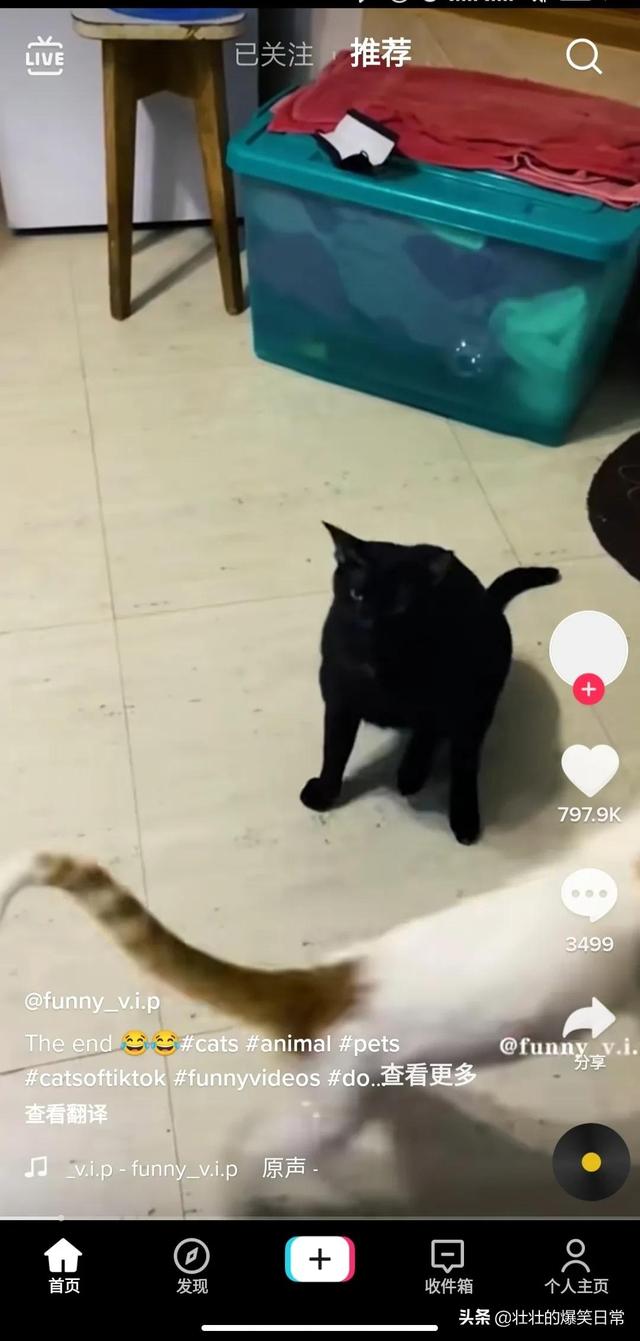 如何使用海外版抖音（国内怎样使用tiktok）-行行副业
