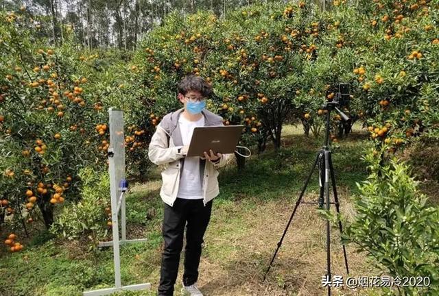 比较赚钱的生态农业项目有哪些-行行副业