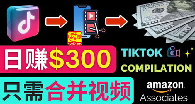 【副业项目3813期】搬运Tiktok短视频到Youtube赚钱，只需下载，合并视频，日赚300美元-行行副业