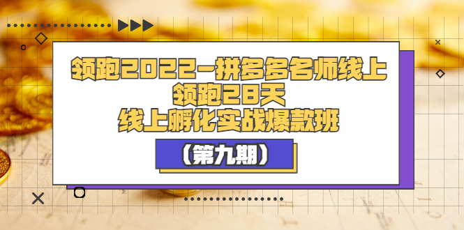 【副业项目3821期】拼多多名师线上领跑28天，拼多多线上孵化实操爆款班（第九期）-行行副业