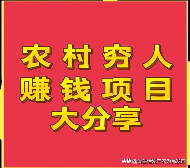 穷人怎么赚钱最快（适合农村穷人创业的项目）-行行副业