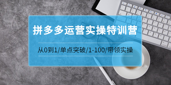 【副业项目3863期】拼多多运营实操特训营：拼多多直通车进阶优化技巧，拼多多如何操作利润最大化-行行副业