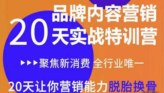 【副业项目3899期】《内容营销实操特训营》20天让你营销能力脱胎换骨（价值3999）-行行副业