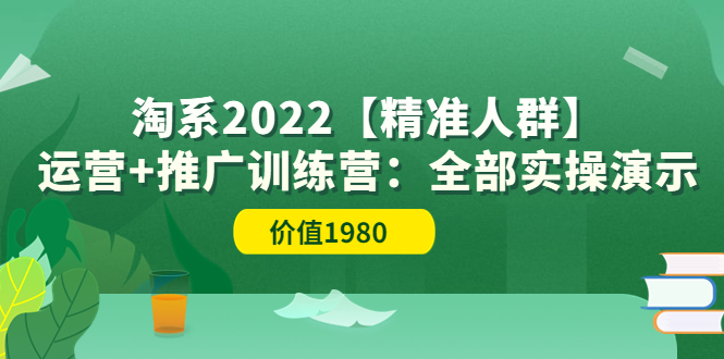 【副业项目3941期】淘系2022【精准人群】运营+推广训练营：全部实操演示-行行副业