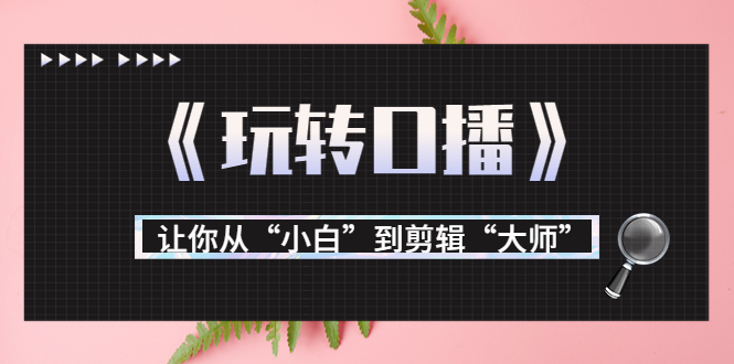 【副业项目3987期】月营业额700万+大佬教您《玩转口播》让你从“小白”到剪辑“大师”-行行副业