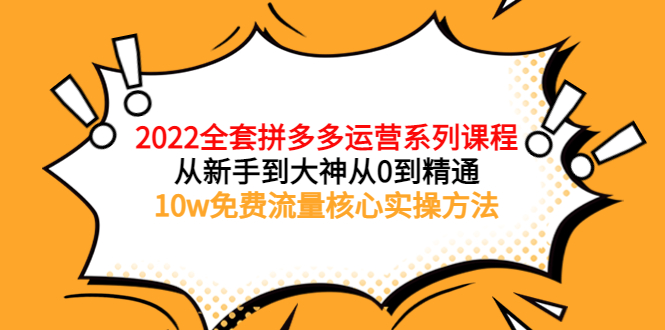 【副业项目4045期】2022全套拼多多运营课程：新手怎么做拼多多电商，10w免费流量核心实操方法-行行副业