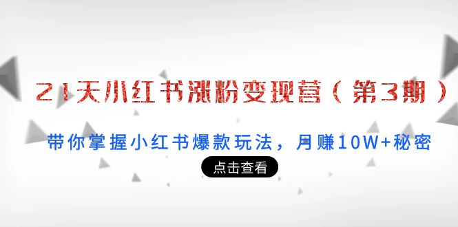 【副业项目4158期】21天小红书涨粉变现营（第3期）：带你掌握小红书爆款玩法，月赚10W+秘密-行行副业