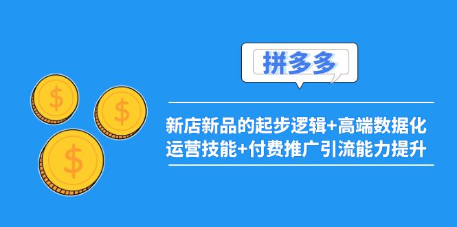 【副业项目4181期】2022拼多多：新店新品的起步逻辑+高端数据化运营技能+付费推广引流能力提升-行行副业