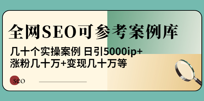 【副业项目4188期】《全网SEO可参考案例库》几十个实操案例 日引5000ip+涨粉百W+变现几十W等-行行副业