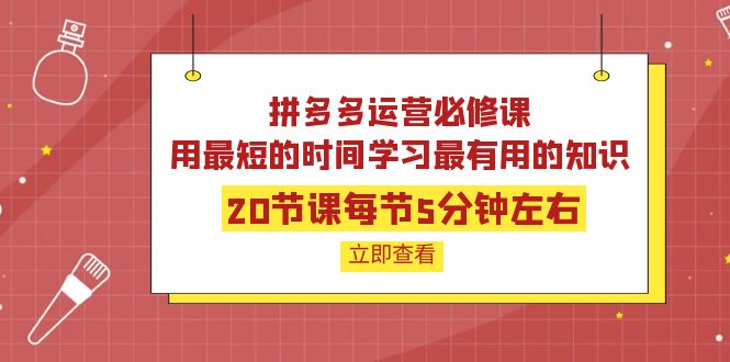 【副业项目4189期】拼多多运营必修课：20节课每节5分钟左右，用最短的时间学习最有用的知识-行行副业