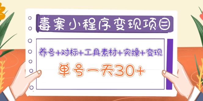 【副业项目4214期】图文案小程序变现项目：养号+对标+工具素材+实操+变现，单号一天30+-行行副业