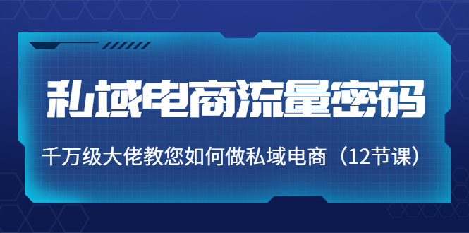 【副业项目4297期】私域电商流量密码：千万级大佬教您如何做私域电商（12节课）-行行副业