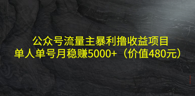【副业项目4325期】公众号流量主暴利撸收益项目，单人单号月稳赚5000+（价值480元-行行副业