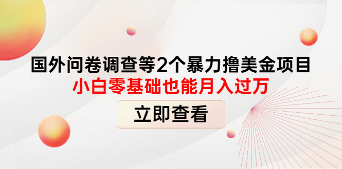 【副业项目4372期】国外问卷调查等2个暴力撸美金项目，小白零基础也能月入过万-行行副业