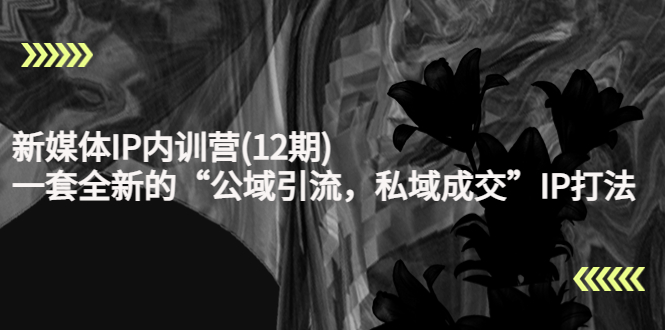 【副业项目4405期】新媒体IP内训营(12期)：一套全新的“公域引流，私域成交”IP打法，直接带走-行行副业