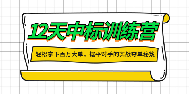 【副业项目4416期】12天中标训练营：轻松拿下百万大单，摆平对手的实战夺单秘笈-行行副业