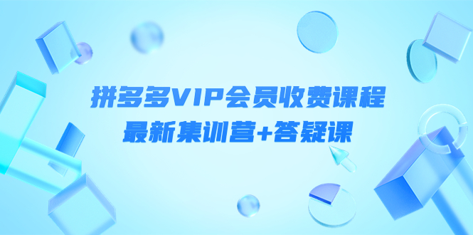 【副业项目4426期】某社群·拼多多VIP会员收费课程，最新集训营+答疑课-价值3299元-行行副业