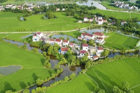 这6类项目在农村正成香馍馍？返乡创业摸准门路，年入百万不是梦农村商机好项目有哪些-行行副业