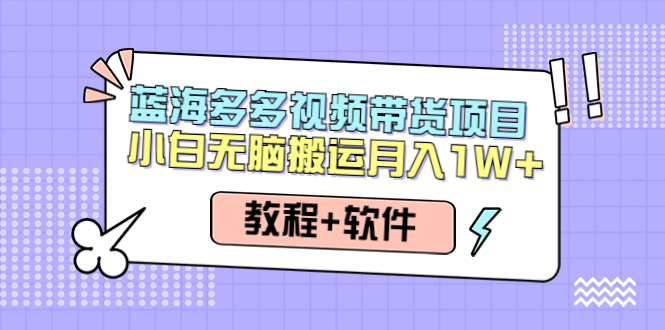 【副业项目4612期】人人都能操作的蓝海多多视频带货项目 小白无脑搬运月入10000+（教程+软件）-行行副业