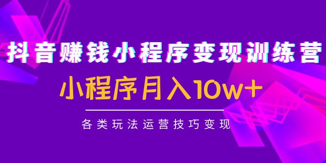 【副业项目4765期】抖音赚钱小程序变现训练营：小程序月入10w+各类玩法运营技巧变现-行行副业