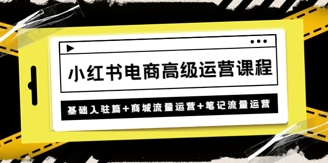 【副业项目4879期】小红书电商高级运营课程：基础入驻篇+商城流量运营+笔记流量运营-行行副业