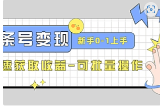 【副业项目4839期】2023头条号实操变现课：新手0-1轻松上手，快速获取收益-可批量操作-行行副业