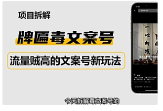 【副业项目4912期】2023抖音快手毒文案新玩法，牌匾文案号，起号快易变现-行行副业