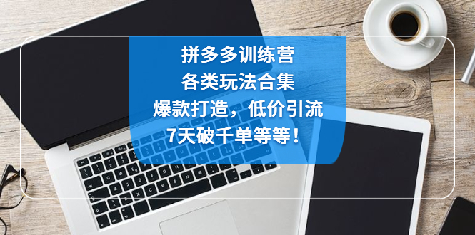 【副业项目4925期】拼多多训练营：各玩法合集，爆款打造，低价引流，7天破千单等等-行行副业