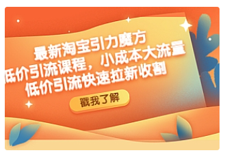 【副业项目4943期】最新淘宝引力魔方低价引流实操：小成本大流量，低价引流快速拉新收割-行行副业