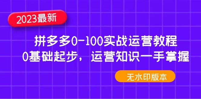【副业项目5048期】2023拼多多0-100实战运营教程，0基础起步，运营知识一手掌握-行行副业