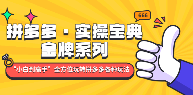 【副业项目5130期】拼多多·实操宝典：金牌系列“小白到高手”带你全方位玩转拼多多各种玩法-行行副业