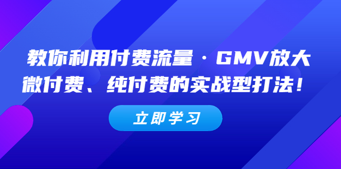 【副业项目5265期】教你利用付费流量·GMV放大，微付费、纯付费的实战型打法-行行副业